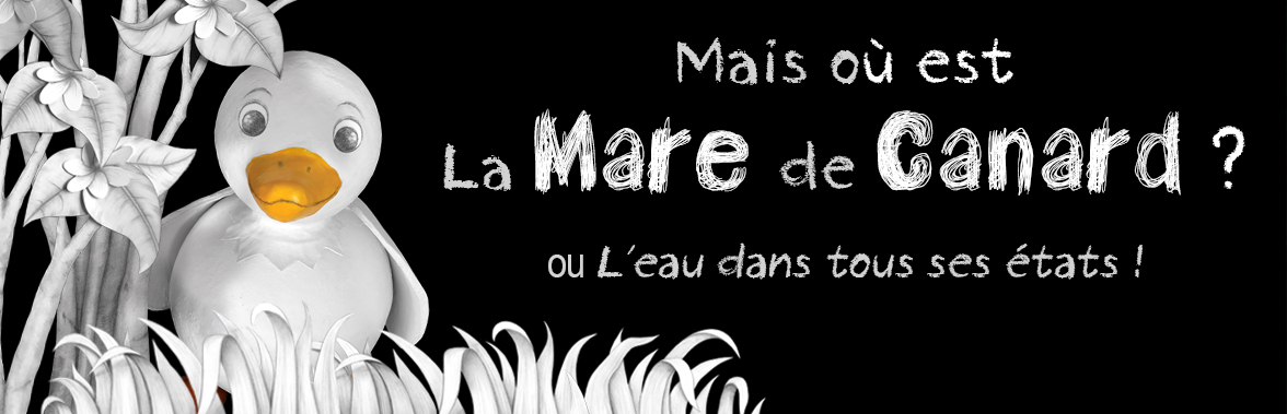 La mare de Canard