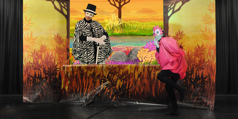 Bazar dans la savane