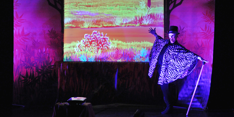 Bazar dans la savane