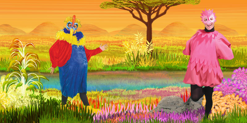 Bazar dans la savane